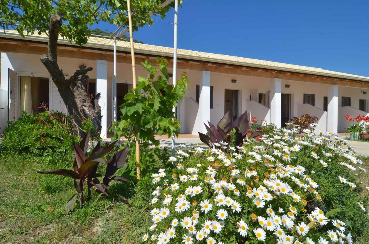 White House Pagoi Apartment Agios Georgios Pagon Exterior foto